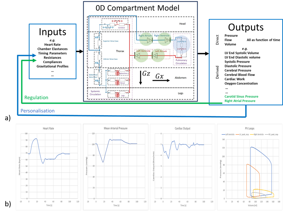 Figure 1: a) Model structure with subset of inputs and outputs.  b) illustrative results for temporal variation of heart rate, mean arterial pressure, cardiac output and left and right ventricular pressure-volume loops under a simulated launch profile