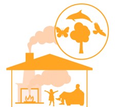 A decorative image showing a house emitting SO2 emissions from a fireplace, and a circle containing animals and vegetation.